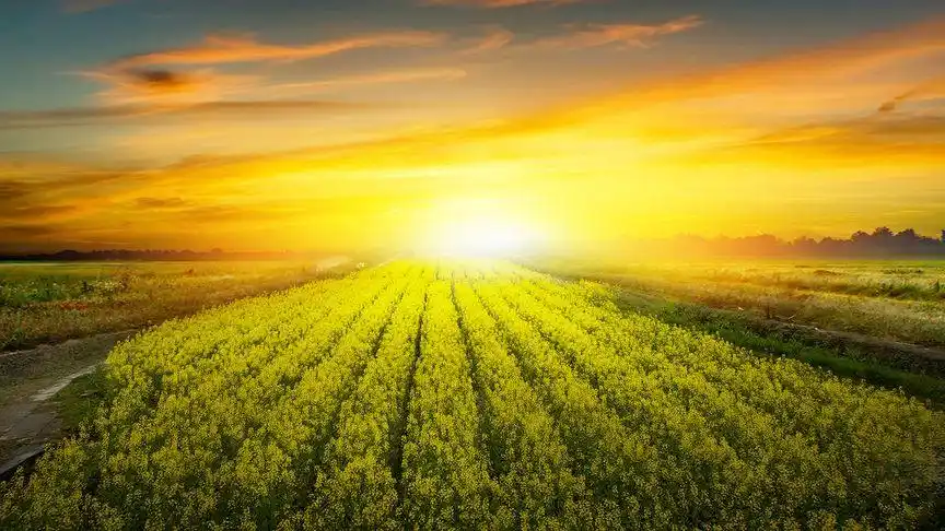 系统学摄影第18天:用m档拍出曝光正常的照片