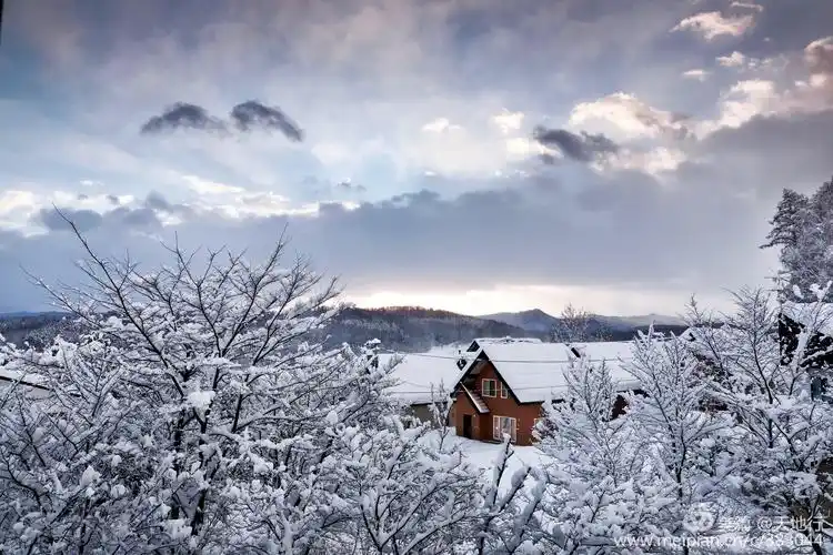 北海道之雪日魅影