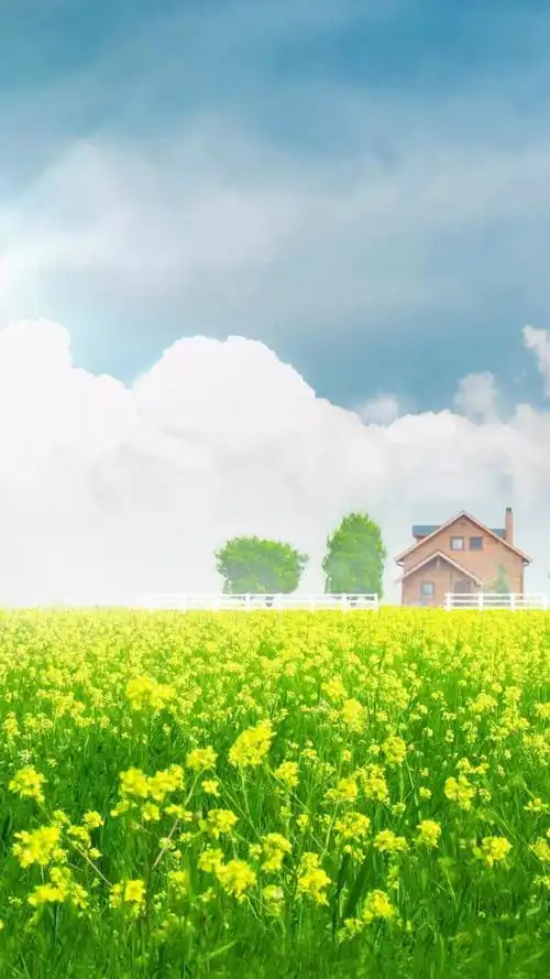 治愈系春天田野风景
