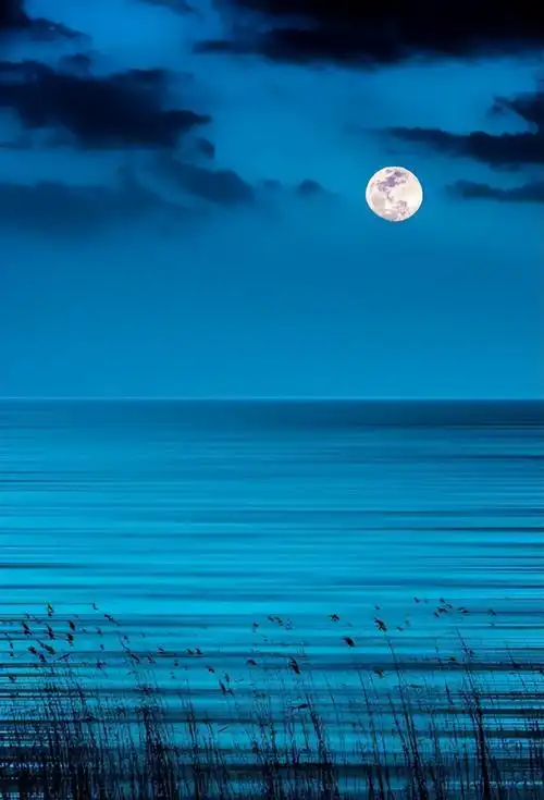 月亮的句子唯美诗句(「诗词鉴赏」月下诗情知多少?