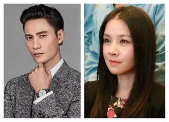 赵薇曾说漏嘴陈坤儿子生母是何琳 陈坤与何琳为什么离婚真实原因曝光