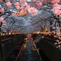 qq头像意境风景图片