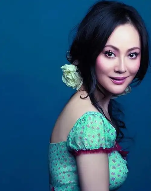 大宋佳:丈夫患病和女儿离开,转身去美国嫁地产大亨,如今怎样了