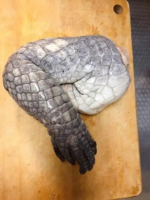 红烧剔骨鳄鱼肉(12/12)