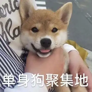 2021七夕合适单身男女狗的头像 狗狗头像全集搞笑幽默带文字图片