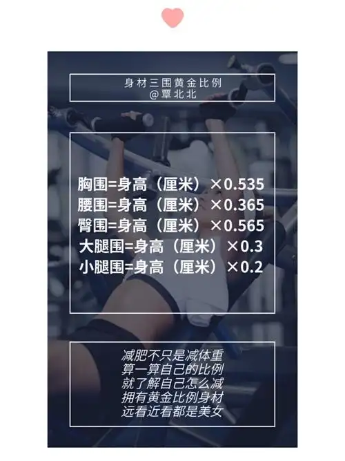 身材三围黄金比例