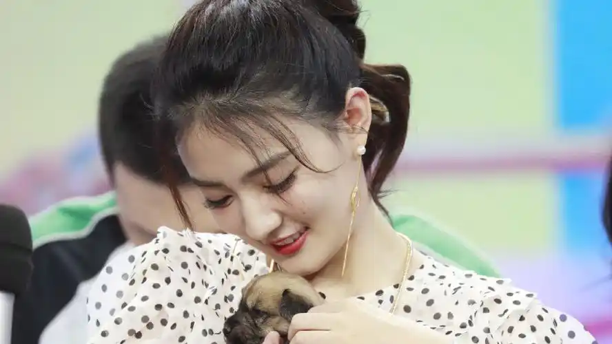 徐璐的综艺节目合集67