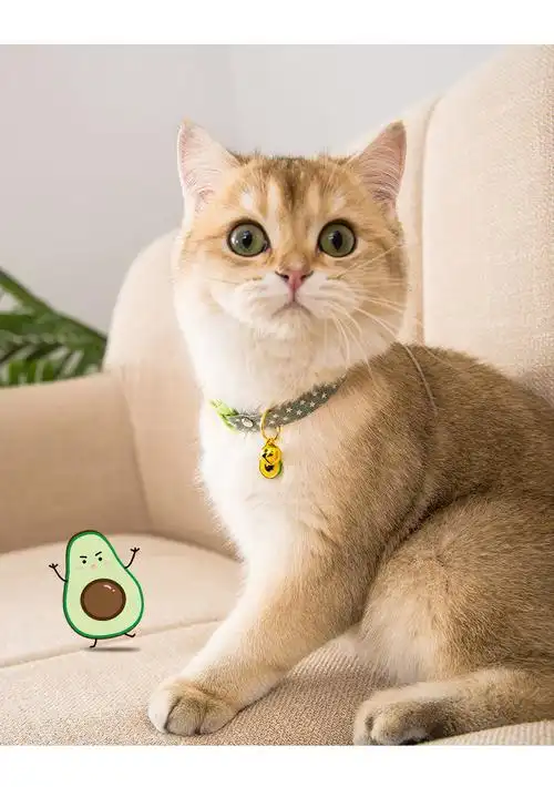 可爱猫咪项圈猫猫脖子饰品铃铛狗狗围脖装饰小猫颈圈项链脖圈用品粉色