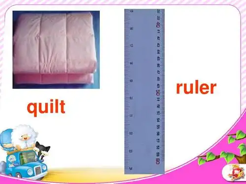 starter unit 2ppt 2012版新目标英语七年级上册课件 ruler quilt 第