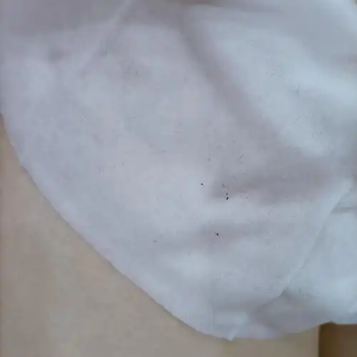 【讨论】捡到的小奶猫身上的,这是跳蚤屎吗?