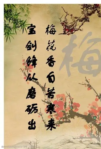 励志宣传画之梅花香自苦寒来图片