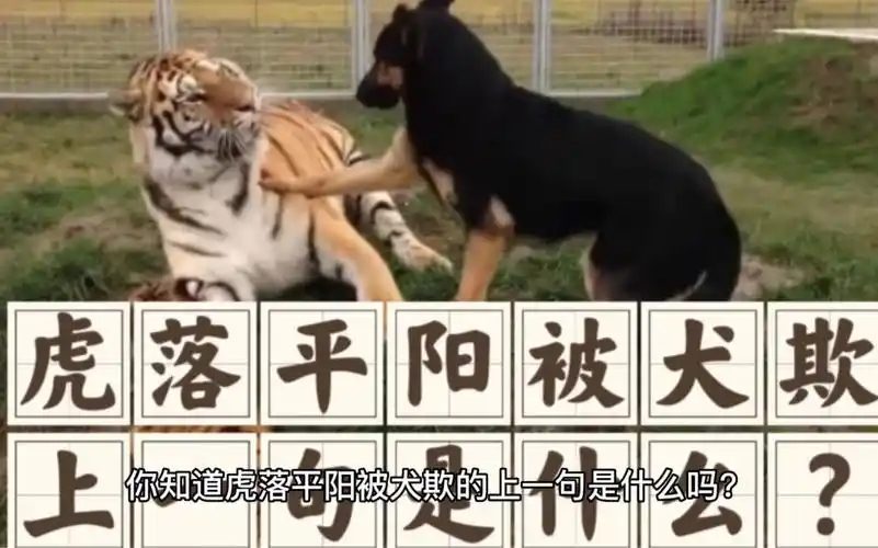 德高而毁来的上一句是什么_德高而毁来的上一句是什么成语