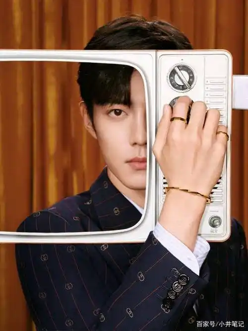 原创肖战粉丝自诩三奢飞侠吊牌显露偶像爱意