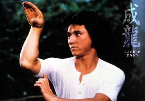 香港电影前十武打明星李小龙只能排第三第一另有其人