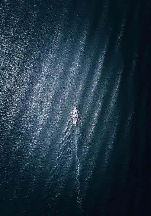 你有没有深海恐惧症,看完这23张图就会知道