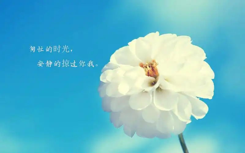 时光匆匆的经典句子配图