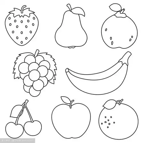矢量插图的水果着色页
