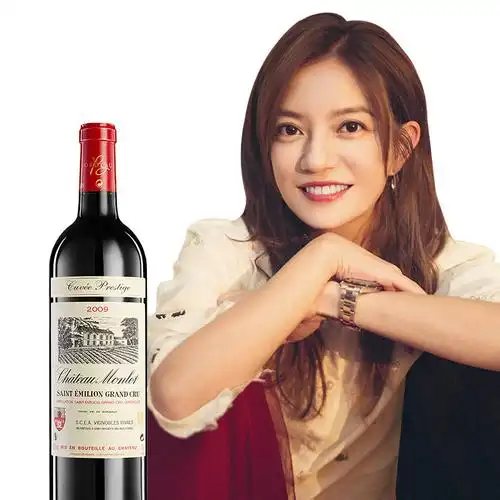 赵薇梦陇酒庄红酒单支装法国原装进口城堡酒窖特酿2009干红葡萄酒750