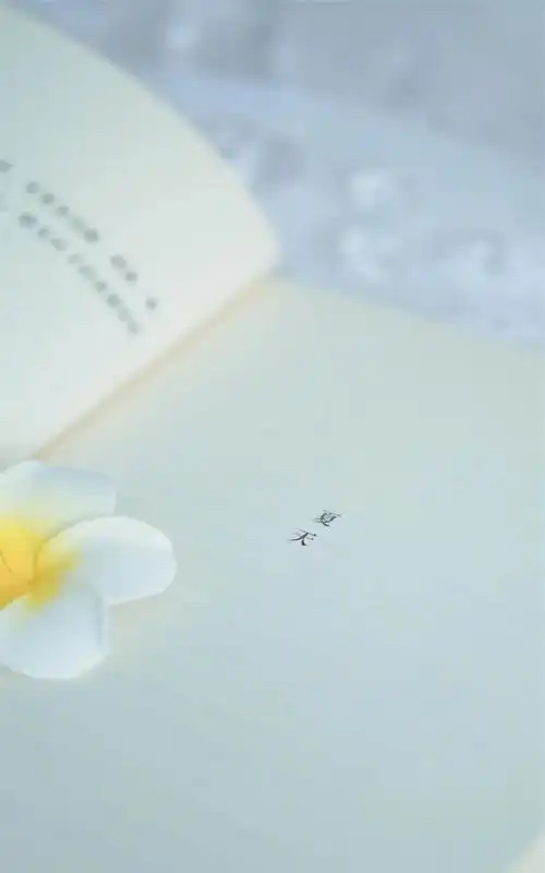 高清壁纸夏日文艺小清新随拍高清手机壁纸