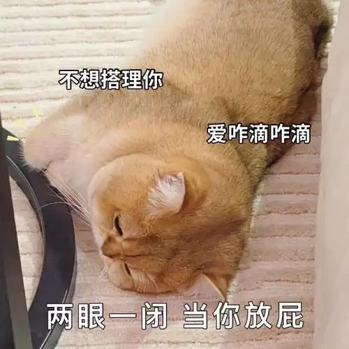 把男朋友撩硬的表情包