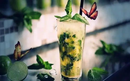 mojito鸡尾酒蝴蝶