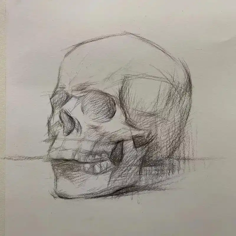 王老师素描骷髅天教程