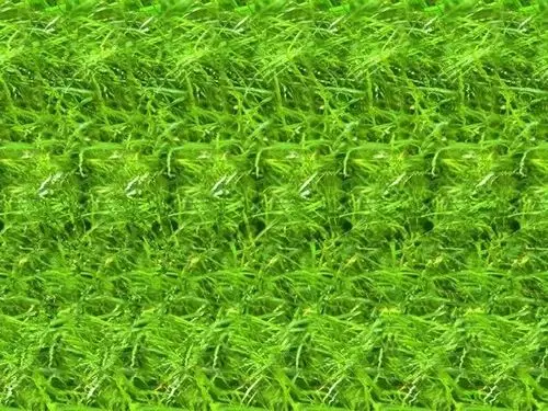 三维立体图片欣赏,盘点网络流传的3d立体图片合集-品索教育资讯