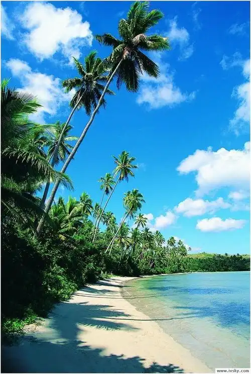 com ):: 图片素材库 自然风光图片素材库 海之风景图片 海滩风光