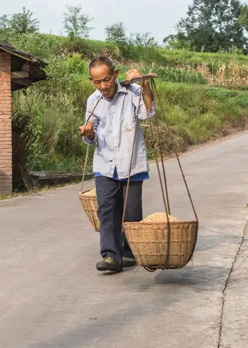 为什么长期挑担子的农户感觉很轻松从来没有挑过的感觉很吃力