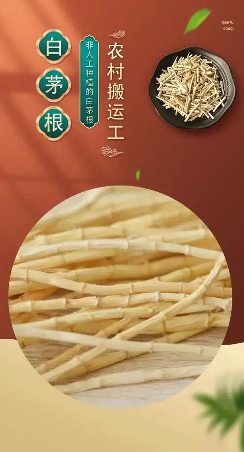 白茅根丝茅根新鲜野生茅草根竹蔗马蹄茅根水甜毛根凉