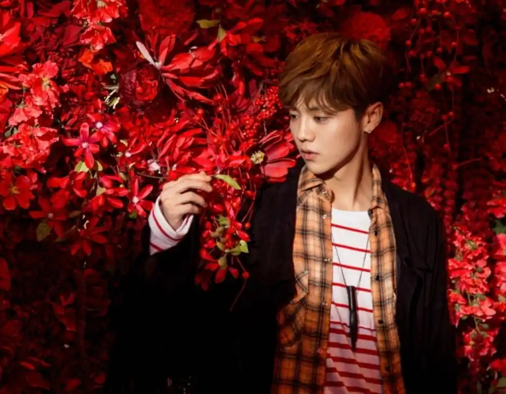 周杰伦,林俊杰,薛之谦,鹿晗,蔡徐坤,毛不易等,都要开演唱会了,这对于