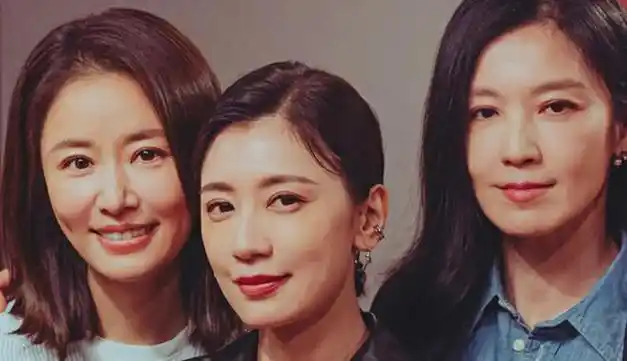 鼻子大的贾静雯算不算顶级大美女看和林心如等人的合照就知道了