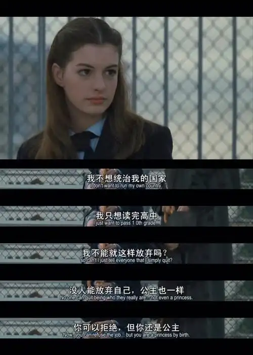 未经你同意没人能使你难过公主日记