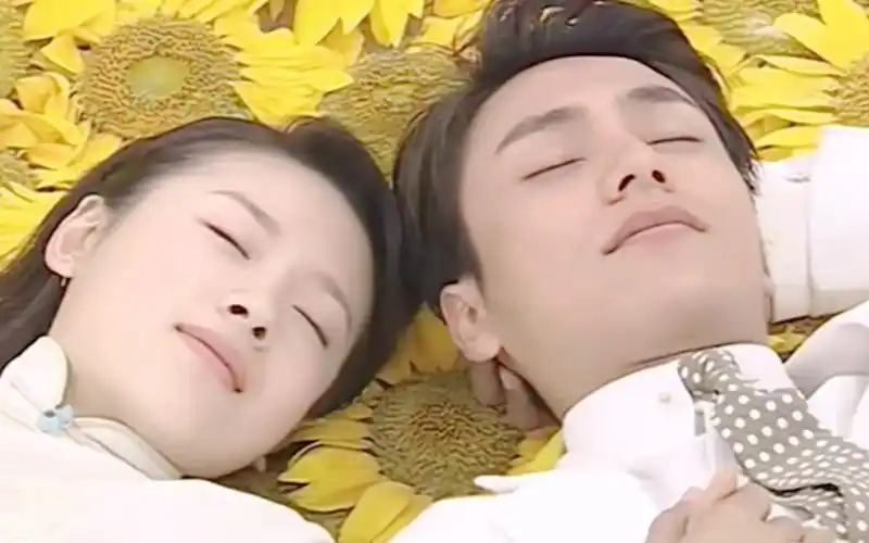 金粉世家【金燕西 冷清秋】mv半生 陈坤 董洁