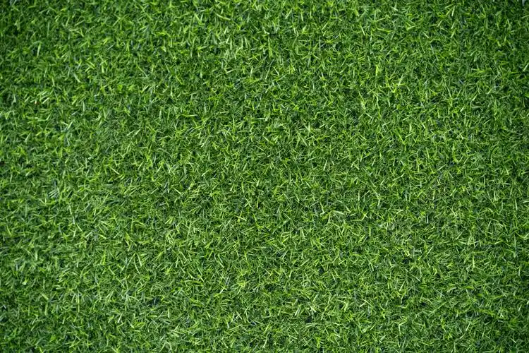 足球场纯色草地绿色