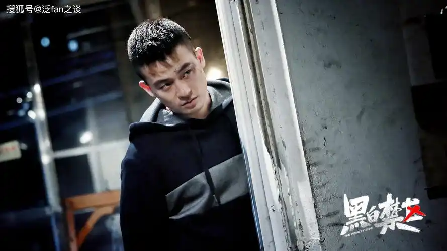 欧豪《黑白禁区》上演"一个人的武林",选角不当成最大败笔!