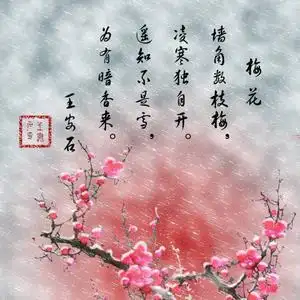 寒梅傲雪头像