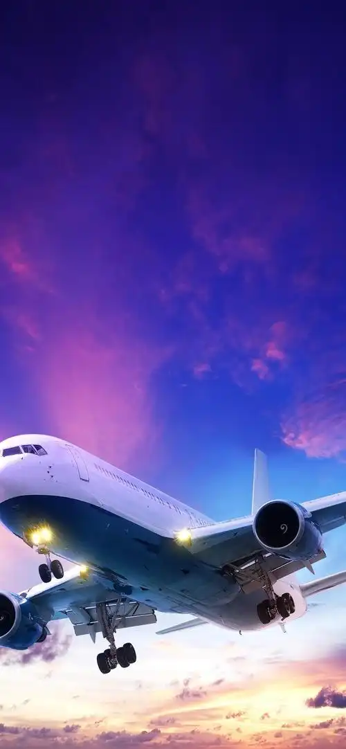 黄昏降落的飞机