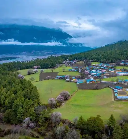 松宗镇桃花才开始陆续绽放不妨放慢脚步毕竟,波密的花期还有一个月小