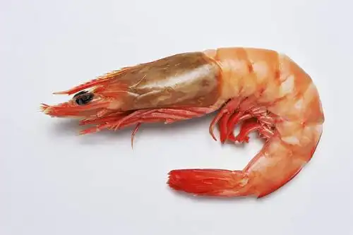 无人,横图,俯视,室内,特写,白天,白色背景,阴影,反射,影子,虾,大虾