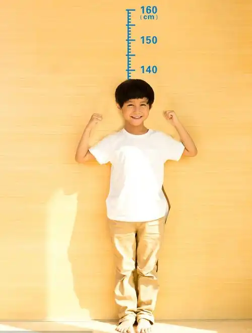 儿童成人家用学校医院体检舞蹈教室量身高贴尺子测量仪可移除墙贴咖啡