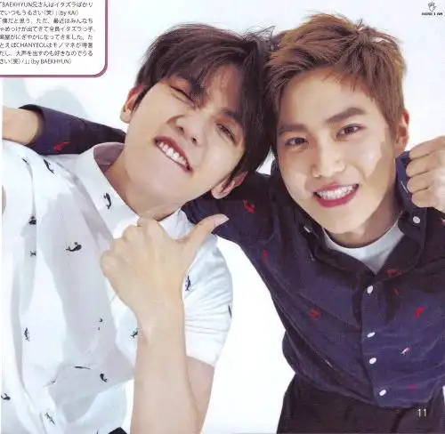 绵白 金俊勉 边伯贤