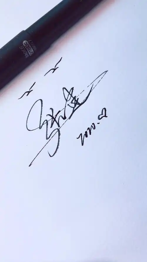 艺术签名#你留名我来写,张建
