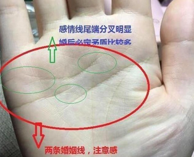 怕是难逃"离婚命"的手相,一旦感情线断裂,夫妻绝对是要离婚!