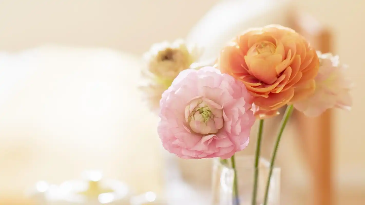 唯美温馨家居静物高清桌面壁纸下载 第二辑