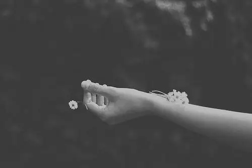 『julyの图集』手如柔荑肤如凝脂抓住你内