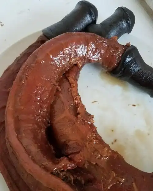 新鲜熟驴鞭带蛋五香即食特大驴鞭整套包邮男用泡酒金钱肉驴肉批发