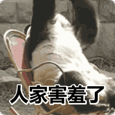 人家害羞了表情包