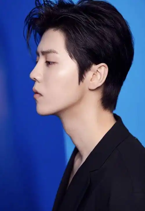 原创鹿晗今年好喜欢v领西装看着时尚穿着霸气真是个奇怪的帅男人