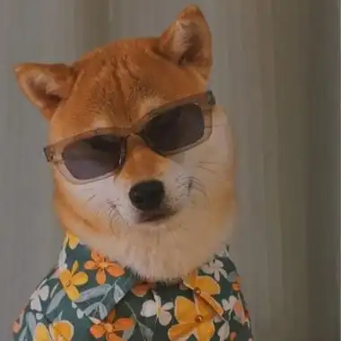 柴犬可爱头像我相信2022一定会很火的